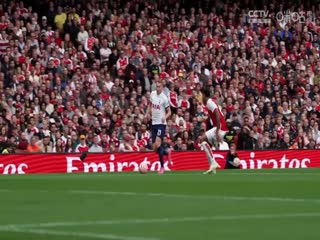 英超聯(lián)賽 埃弗頓VS阿斯頓維拉 20250116