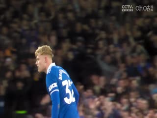 英超聯(lián)賽 埃弗頓VS布倫特福德 20240428