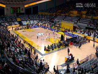 CBA常規(guī)賽第10輪 浙江東陽(yáng)光藥VS浙江稠州金租 20231114（金哲豪）