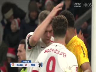 德甲聯(lián)賽 勒沃庫森VS弗賴堡 20241222