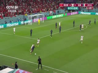 突尼斯VS法國(guó)