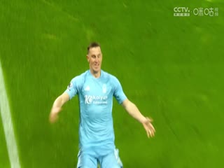 英超聯(lián)賽 紐卡斯?fàn)柭?lián)VS萊斯特城 20241214