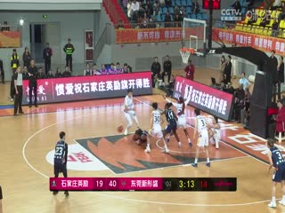 WCBA常規(guī)賽A組 石家莊英勵(lì)VS東莞新彤盛 20241116