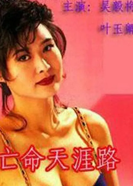 亡命天涯路國語