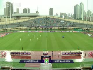 足協(xié)杯第二輪比賽 溫州職業(yè)足球俱樂(lè)部VS大連鯤城 20250419