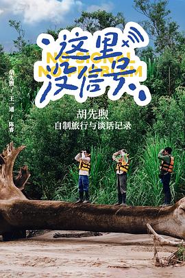 這里沒(méi)信號(hào)