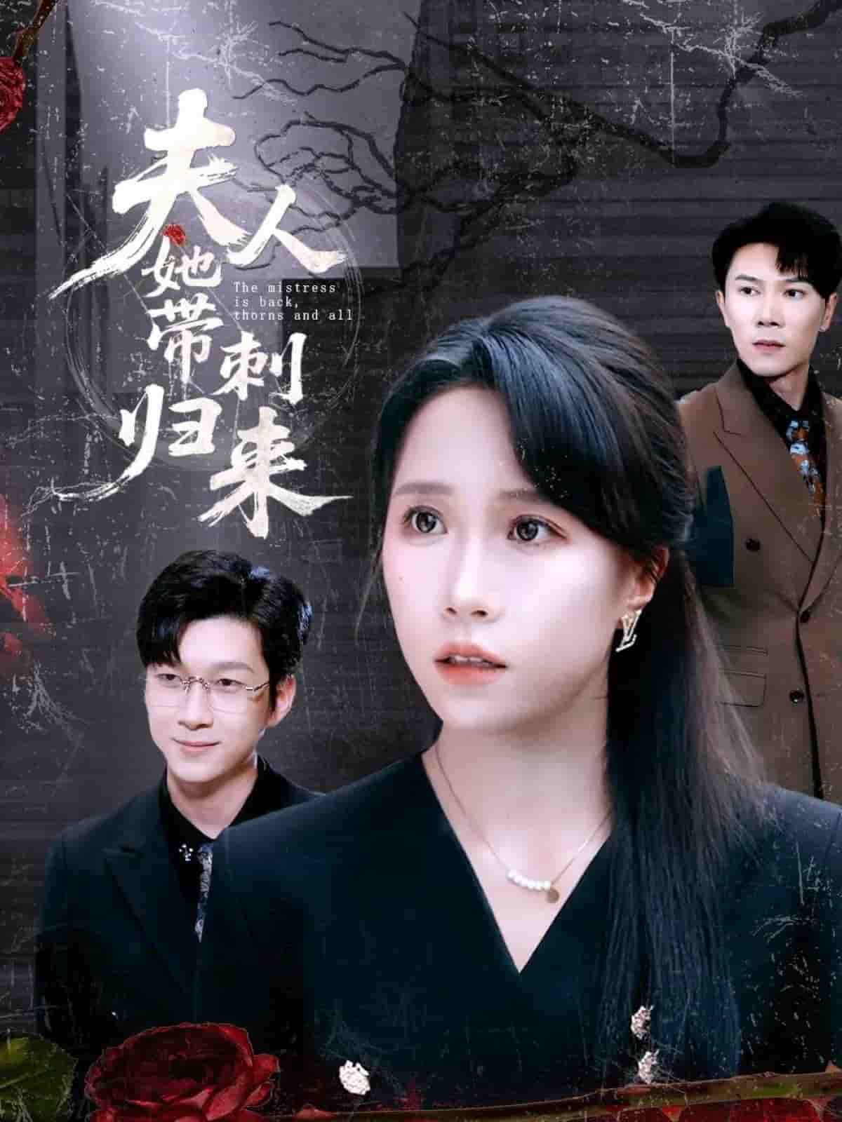 夫人她帶刺歸來(lái)