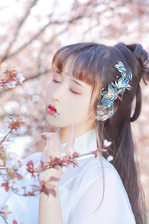 国产少女免费观看高清电视剧