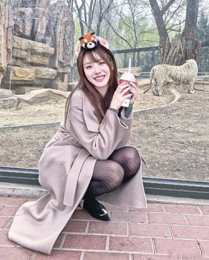 电视剧敌特在行动