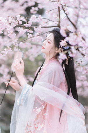 《金花瓶楷梅花2》观看