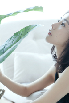 日本电影《婚前重逢》