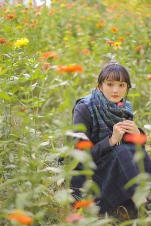 日本电影《尼姑庵物语》
