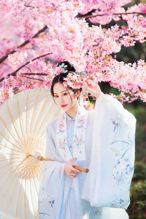 少女たちよ在线观看播放电视剧