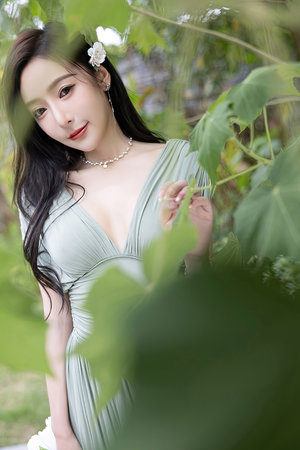 烈火如歌免费观看全集