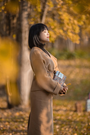 肉丸子影院免费观看电视剧