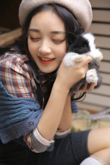 江西卫视电视剧